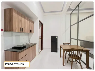 Cho thuê 1PN Xuân Hồng, Tân Bình, Tân Bình